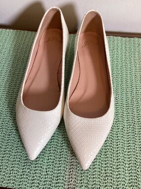 J.Crew leather with scaly texture pointed toe flats SZ 6 #animal lover # comfy